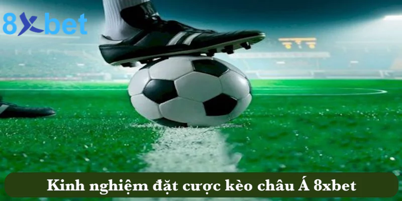 Kèo châu Á - Kinh nghiệm đặt cược kèo tại 8xbet thắng đậm Kinh nghiệm đặt cược kèo châu Á tại 8xbet thắng đậm