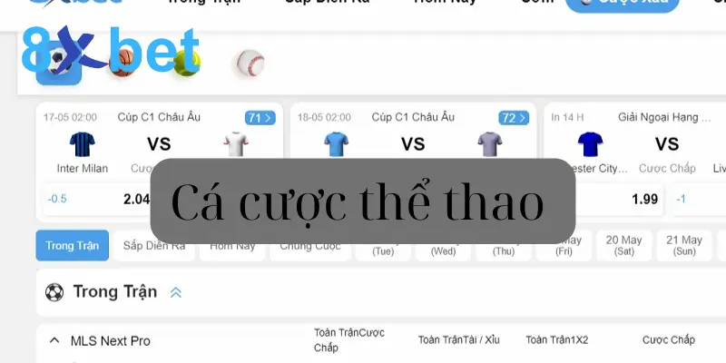 Cá cược thể thao 8Xbet - Hướng dẫn tham gia thắng lớn Cá cược thể thao