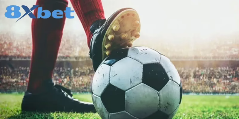 Phân Biệt Rõ Cược Đơn, Cược Xiên Và Cược Rung Tại 8XBET So sánh các loại cược theo một số tiêu chí cơ bản
